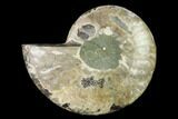 Agatized Ammonite Fossil (Half) - Madagascar #139666-1